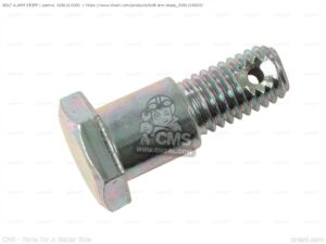 Remankerplaatstang achter – Bout